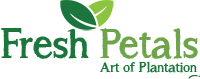 Freshpetals - The Online Shop For Plant Lovers